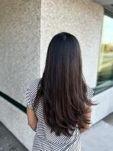 brunette balayage chocolate brown highlights on black hair soft dimension warm brown natural long hair with long layers rich brunette affordable hair service near me in brantford ontario hairstylist hairdresser hair school hairstyling college diploma 2024 women's hair trends inspiration 